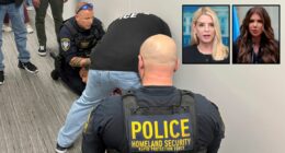 'Authoritarian takeover of the US immigration court system': Trump admin sued over courthouse 'trap' arrests by ICE