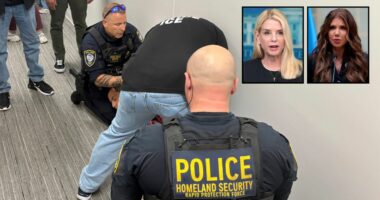 'Authoritarian takeover of the US immigration court system': Trump admin sued over courthouse 'trap' arrests by ICE