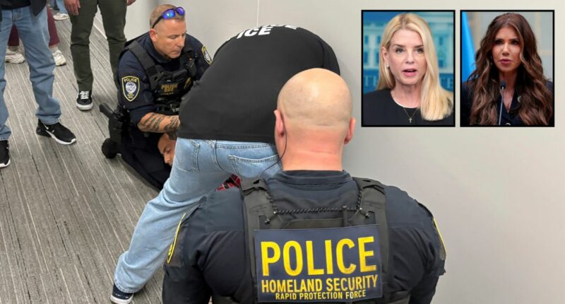 'Authoritarian takeover of the US immigration court system': Trump admin sued over courthouse 'trap' arrests by ICE