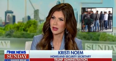 'Bring some dignity back to the bench': Noem bashes judge as Trump DOJ appeals order blocking ICE from conducting raids based on 'race or ethnicity' — says it's 'not their job'