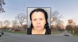 'Can they save them instead of driving off?': Woman who killed 3-year-old in hit-and-run at fireworks show didn't have valid license: Police
