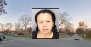 'Can they save them instead of driving off?': Woman who killed 3-year-old in hit-and-run at fireworks show didn't have valid license: Police