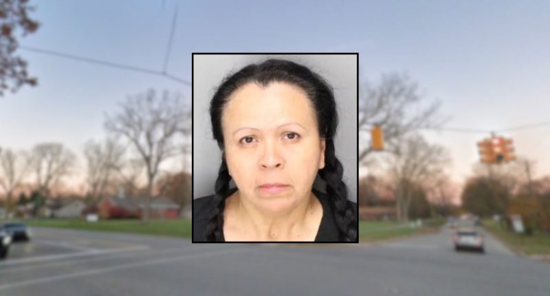 'Can they save them instead of driving off?': Woman who killed 3-year-old in hit-and-run at fireworks show didn't have valid license: Police