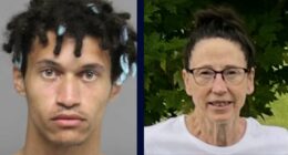 'Died before the crash': Man drove the wrong way during highway police chase with a woman's dead body in the back seat, cops say