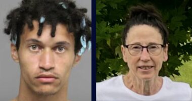 'Died before the crash': Man drove the wrong way during highway police chase with a woman's dead body in the back seat, cops say
