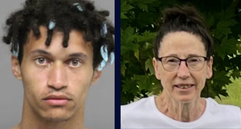 'Died before the crash': Man drove the wrong way during highway police chase with a woman's dead body in the back seat, cops say