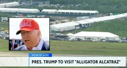 'Don't run in a straight line': Trump's Everglades escape hacks for 'Alligator Alcatraz' include teaching immigrants how to not be eaten as he visits makeshift facility