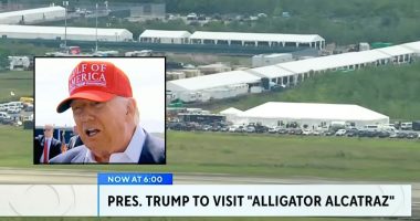'Don't run in a straight line': Trump's Everglades escape hacks for 'Alligator Alcatraz' include teaching immigrants how to not be eaten as he visits makeshift facility