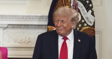 'Failed to follow its own rules': Judge berates Trump admin for having 'tricked' migrant into agreeing to be placed in solitary for 40 days