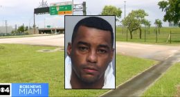 'Held a screwdriver to her neck': Woman ambushed in parking lot and raped in broad daylight after being dragged to underpass by man, hit over head with rock, cops say