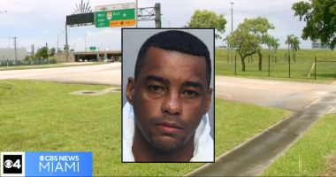 'Held a screwdriver to her neck': Woman ambushed in parking lot and raped in broad daylight after being dragged to underpass by man, hit over head with rock, cops say
