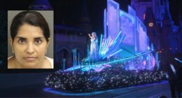 'Her spot': Woman charged with child abuse at Disney World after fighting with teen for the best view of new nighttime parade, police say