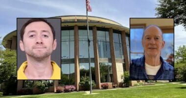 'I am the smartest American': Man who allegedly beheaded father for 'treason' believed he would accept 'citizen's arrest'