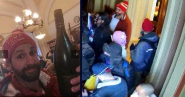'I deserve to go to prison and so does Donald Trump': Jan. 6 rioter who chugged wine during insurrection seeks to formally refuse pardon 