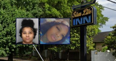 'I told you, b—!': Woman runs up to mother of 3 who was sitting in car in hotel parking lot and shoots her dead, cops say