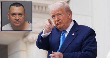 'I won't miss': Trump assassination threat suspect vowed to shoot POTUS, used photo of previous attempt on president's life, feds say