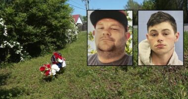 'I'm a real deal killa!': Teen bragged after fatally stabbing man during a fight then fled the scene in a stolen car, police say
