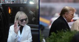 'Idiosyncratic pattern of conduct': Federal appeals court refuses to grant Trump a new E. Jean Carroll trial based on 'Access Hollywood' tape evidence