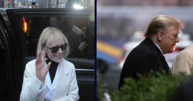 'Idiosyncratic pattern of conduct': Federal appeals court refuses to grant Trump a new E. Jean Carroll trial based on 'Access Hollywood' tape evidence