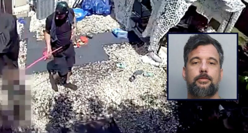 'Make her pay': Footage allegedly shows Marine vet stepdad using pink dog collar to yank 6-year-old off feet by his neck, run with backpack of rocks
