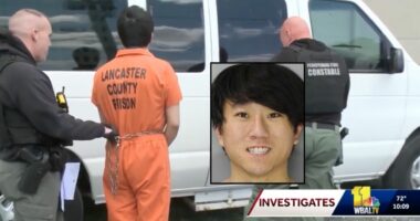 'Mom is in the car': Man drove mother's corpse to sister's house covered in McDonald's wrappers and 'household goods,' DA says