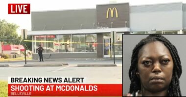 'Refused to take the trash out': McDonald's manager shot teen worker's mother after employee called mom following garbage request, cops say