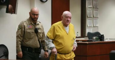 'Right out of Putin's Russia': 76-year-old attorney who helped murder art dealer, bury body on mountainside receives fate