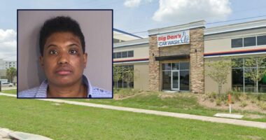 'She yelled that she wanted to fight with me': Florida woman steals pregnant single mother's vehicle during car wash and quickly wrecks it, police say