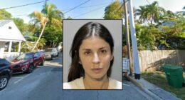 'Teach her a lesson': Women waiting to let 'chicken cross the road' attacks driver with bear mace after they blow past her and run bird over, cops say