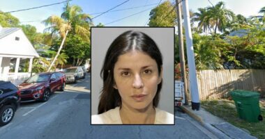 'Teach her a lesson': Women waiting to let 'chicken cross the road' attacks driver with bear mace after they blow past her and run bird over, cops say