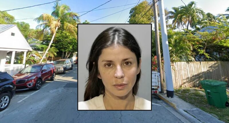 'Teach her a lesson': Women waiting to let 'chicken cross the road' attacks driver with bear mace after they blow past her and run bird over, cops say