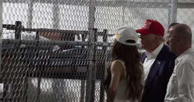 'Too speculative and conclusory': Trump DOJ tells environmental groups suing over 'Alligator Alcatraz' construction to take in the 'flora and fauna' elsewhere