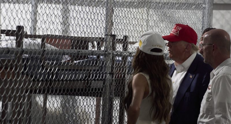 'Too speculative and conclusory': Trump DOJ tells environmental groups suing over 'Alligator Alcatraz' construction to take in the 'flora and fauna' elsewhere