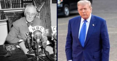 'Unlawful and without legal effect': Federal judge slams brakes on Trump firing of FTC commissioner, cites FDR case from 90 years ago