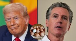 'Unnecessary red tape': Trump admin blames California for rise in egg prices in new lawsuit