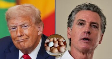 'Unnecessary red tape': Trump admin blames California for rise in egg prices in new lawsuit