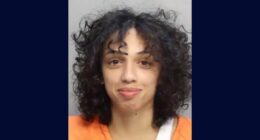 'We have a predator, and she's preying on male victims': Florida woman allegedly followed tourists back to their hotels, pepper-sprayed them, and stole their luxury watches
