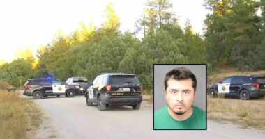 'You want me to show you?' Son allegedly admits to killing parents and sister after approaching deputies with gun