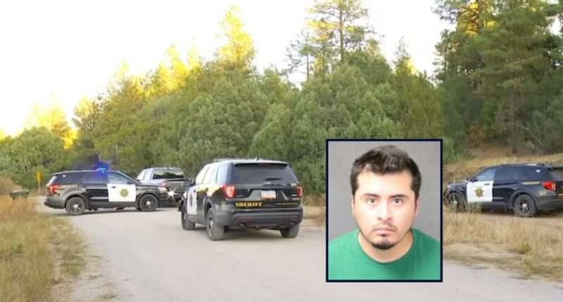 'You want me to show you?' Son allegedly admits to killing parents and sister after approaching deputies with gun