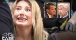 'Your bad practice is not my problem': Judge dresses down defense attorney for opposition to sentence after plea deal in stalker case