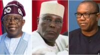 2027: “Atiku and Obi together still can’t beat Tinubu” - Presidency