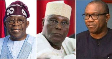 2027: “Atiku and Obi together still can’t beat Tinubu” - Presidency