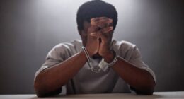 22-year-old man jailed for stealing seven chickens in Ado-Ekiti