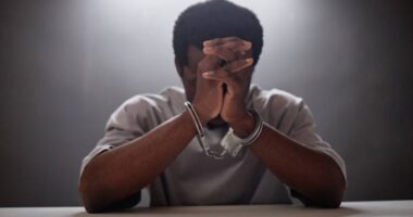 22-year-old man jailed for stealing seven chickens in Ado-Ekiti