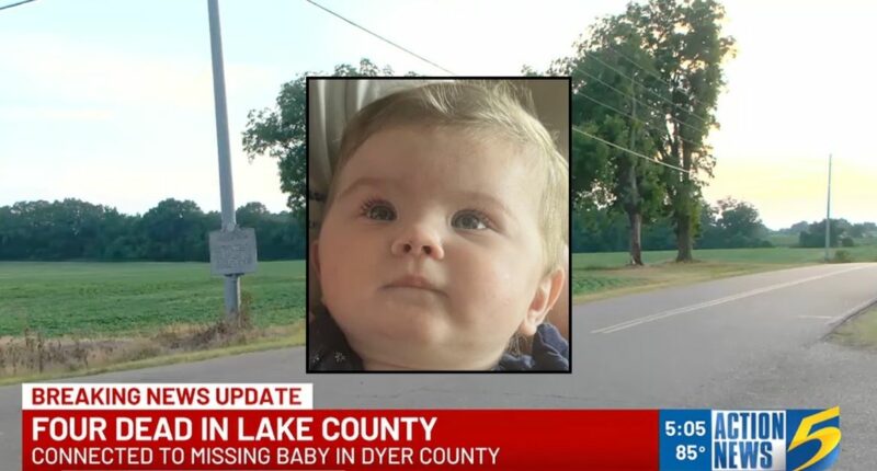 7-month-old found alone in 'random' yard leads to bodies of his parents, grandmother and teen uncle: Police