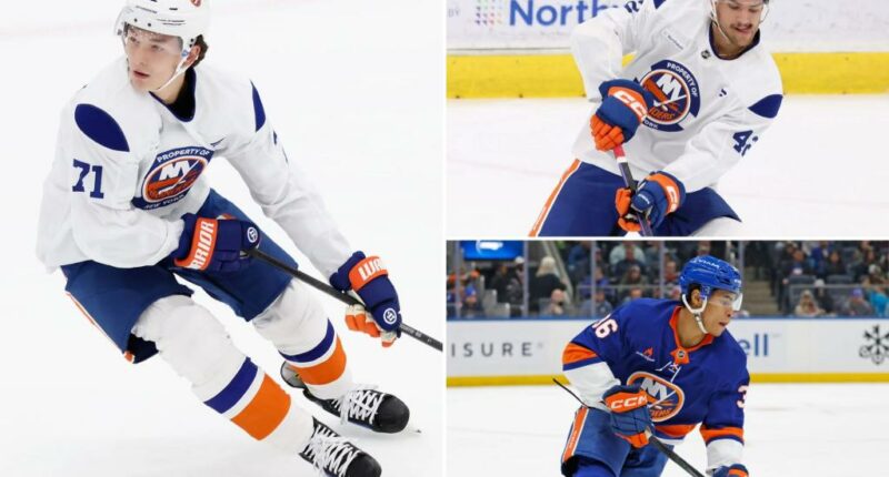 A deep dive into the Islanders’ prospect pipeline, from the potential stars to the long shots