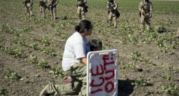 About That Farm Raid the Democrats Are So Angry About...