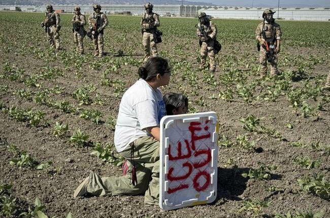 About That Farm Raid the Democrats Are So Angry About...