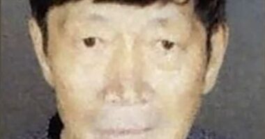 Guojun Xuan, 65, (pictured) and his partner Silvia Zhang, 38, were arrested for felony child endangerment this week after cops found they had 21 children from surrogate mothers
