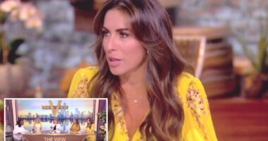 Alyssa Farah Griffin reveals she’s broken down in tears multiple times from stress as lone conservative on ‘The View’